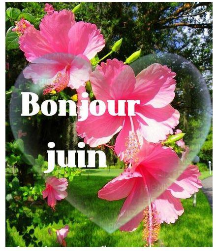 Bonjour juin